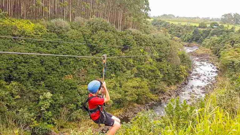 Thrilling Ziplines in the Americas: An Adventurer’s Dream